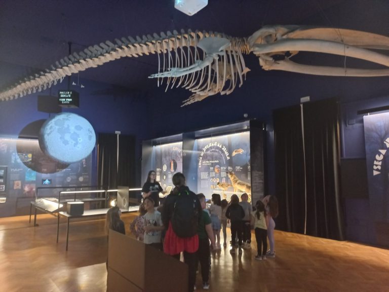 Ogled  Prirodoslovnega muzeja