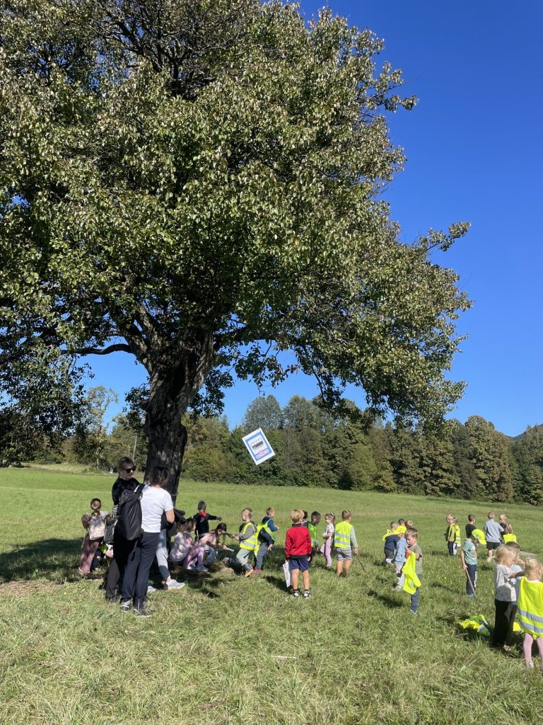 ''Gozdni detektivi''