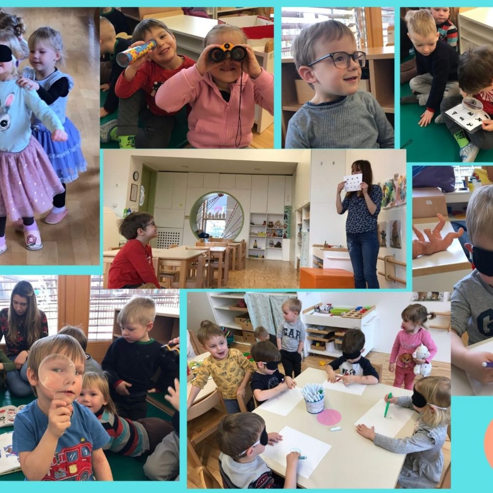 V skupini Muce spoznavamo čutila