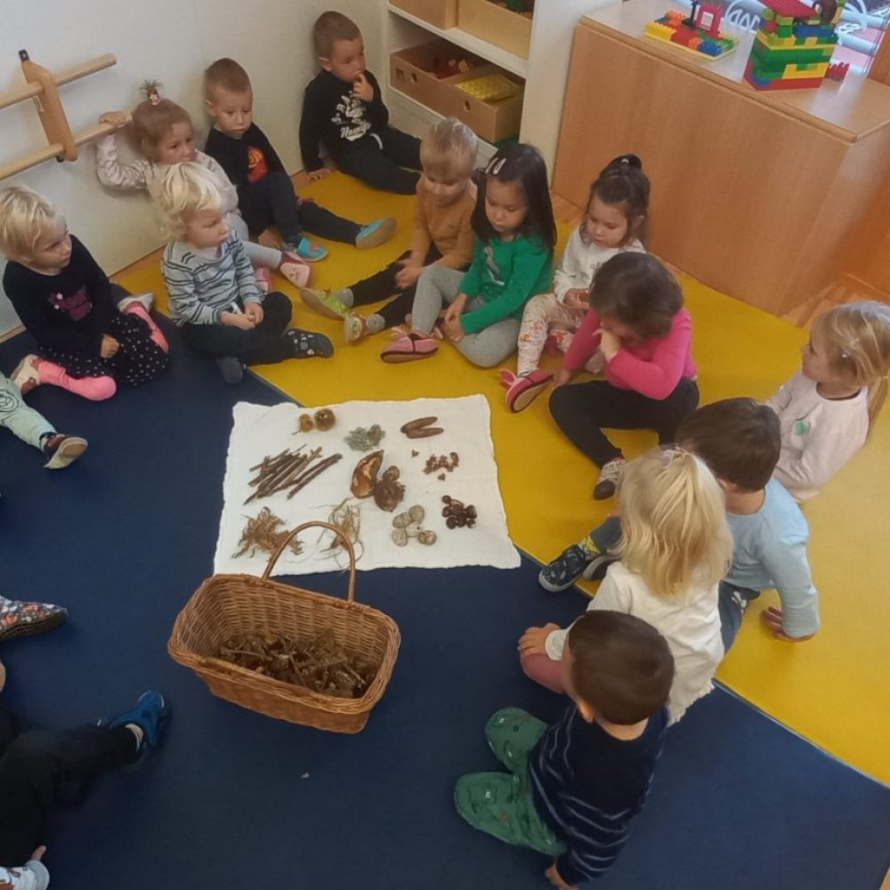 Lepo ga je nabirati, še lepše jest