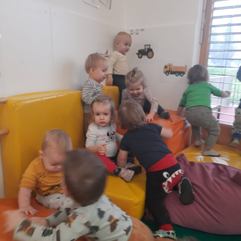 Poglejte nas junake –  skupina Muce