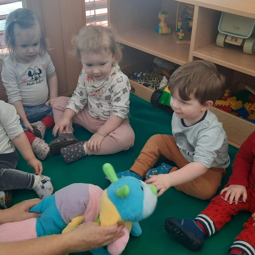 Zelo lačna gosenica v skupini Muce