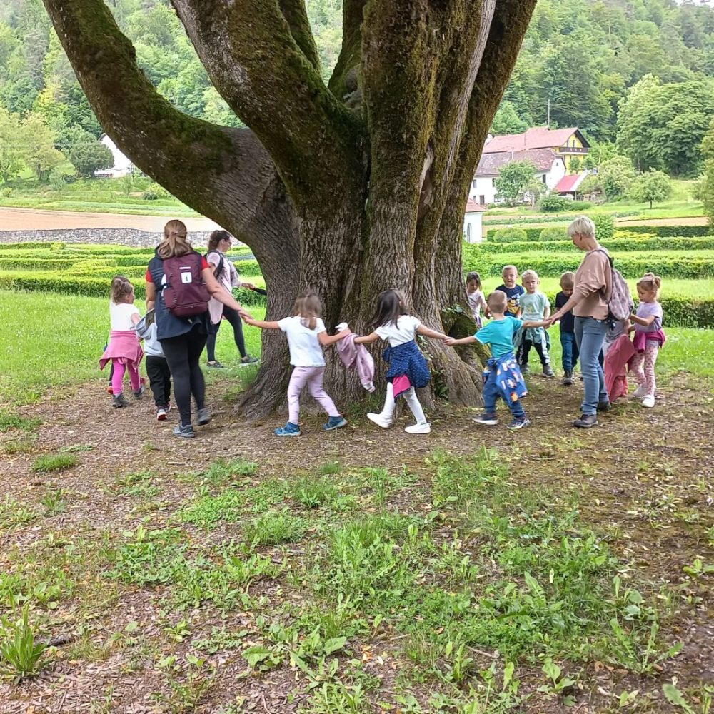 Dežela polha Rogovileža