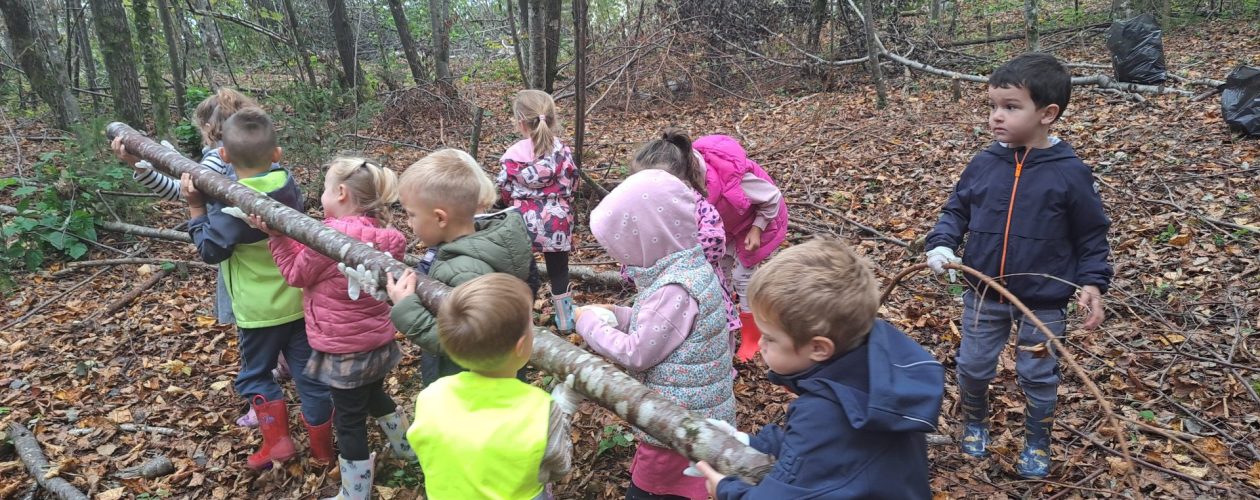 Kaj vse najdemo v gozdu?