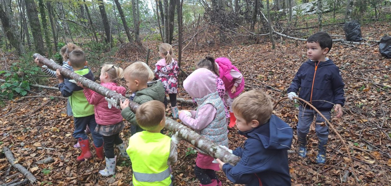 Kaj vse najdemo v gozdu?