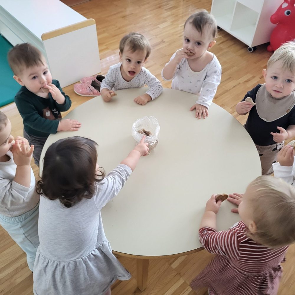 Vidim, slišim, vonjam, okušam, čutim december