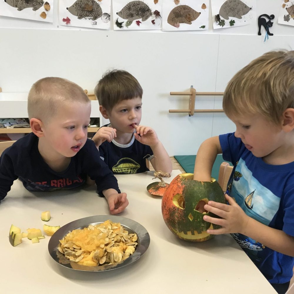 Jesen v skupini Muce