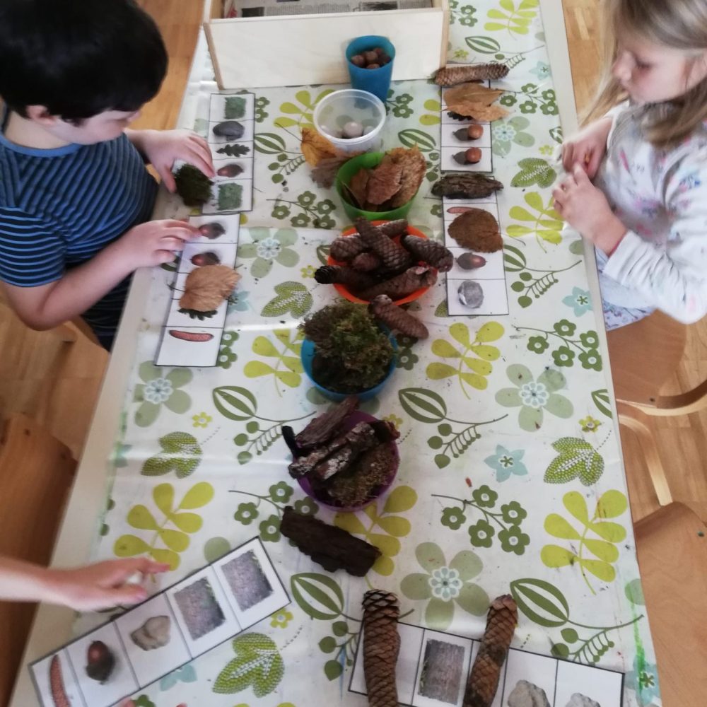 Gozd v zimskem času malo drugače