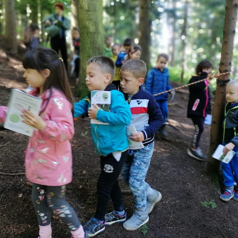 Po poteh močvirskih škratov