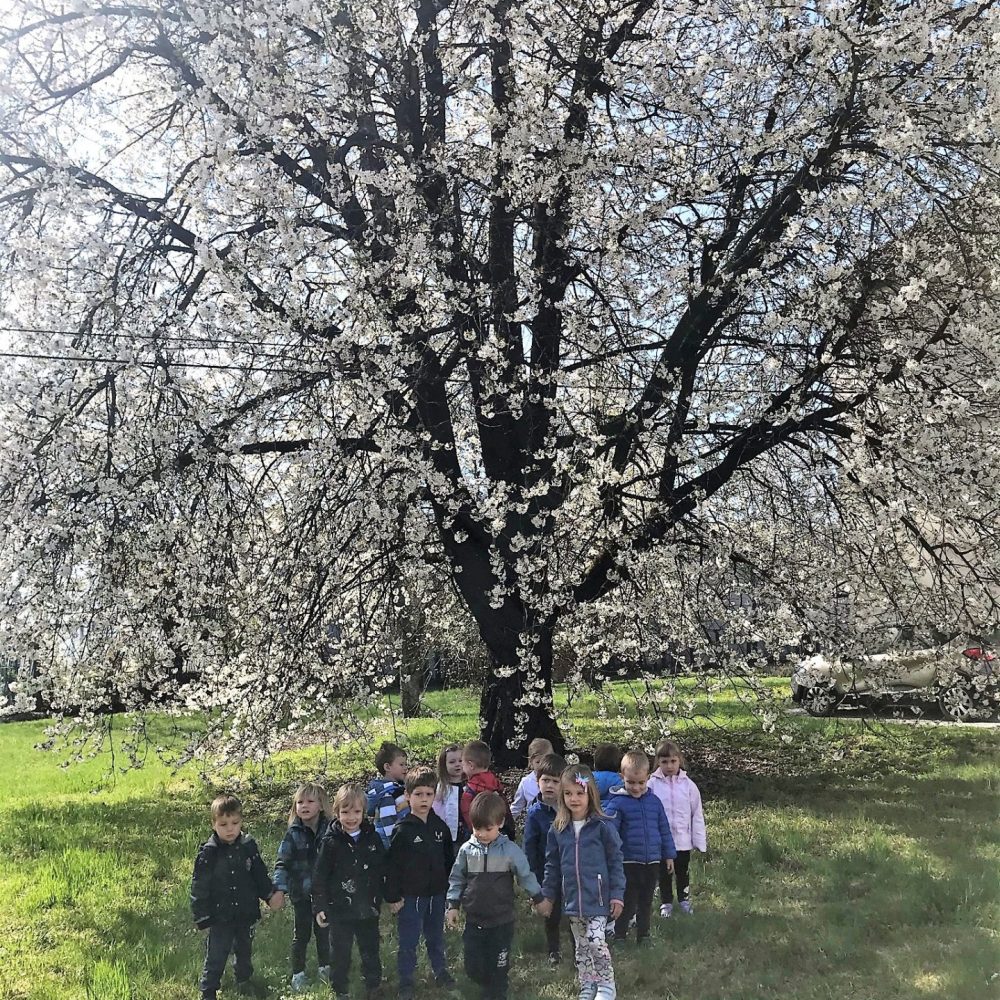 Pomlad in prazniki v skupini Muce