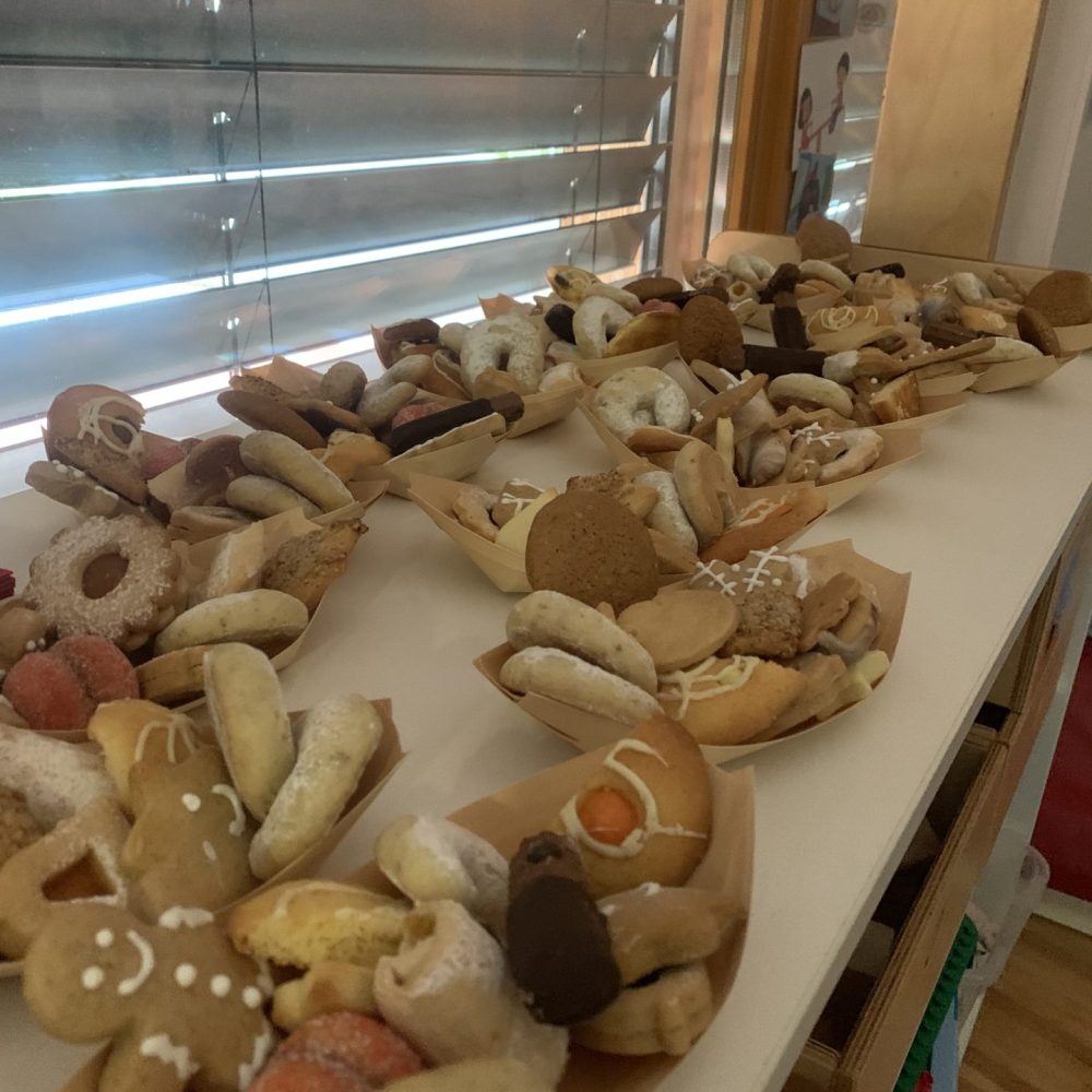 Praznična čajanka pri želvah