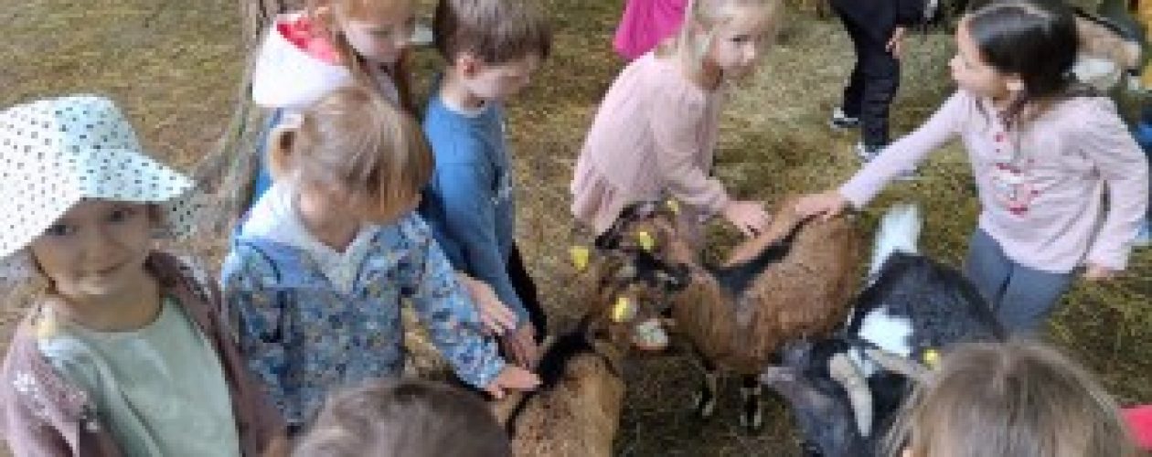 Bobrčki in Ribice na izletu na Ranču Aladin