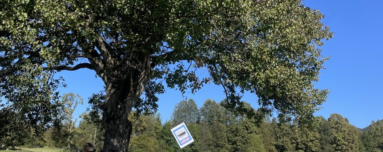 &#8221;Gozdni detektivi&#8221;