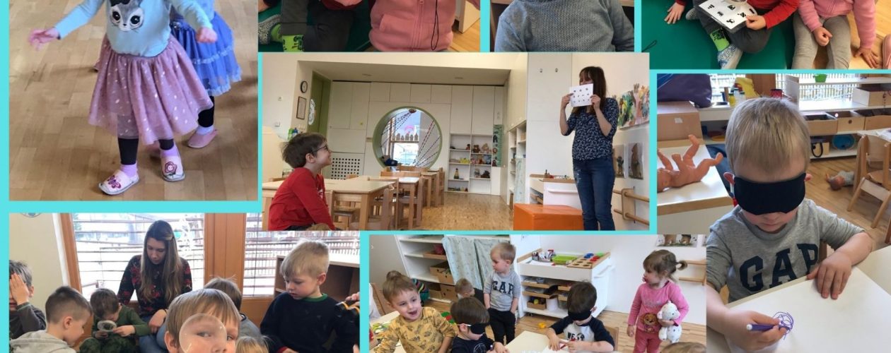 V skupini Muce spoznavamo čutila