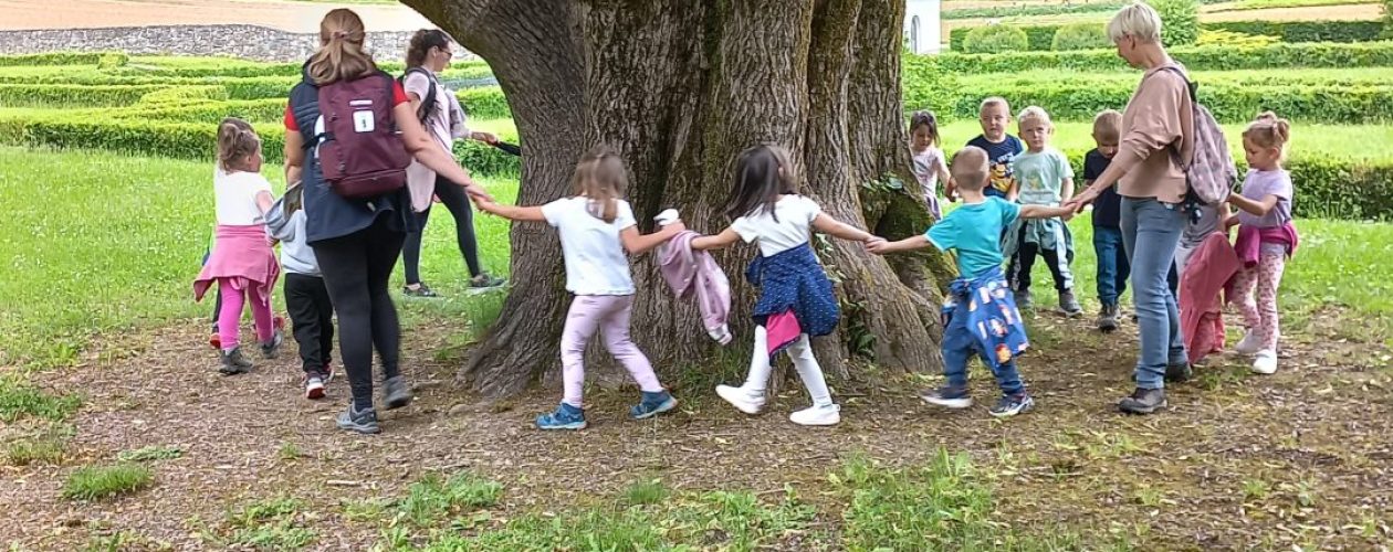 Dežela polha Rogovileža