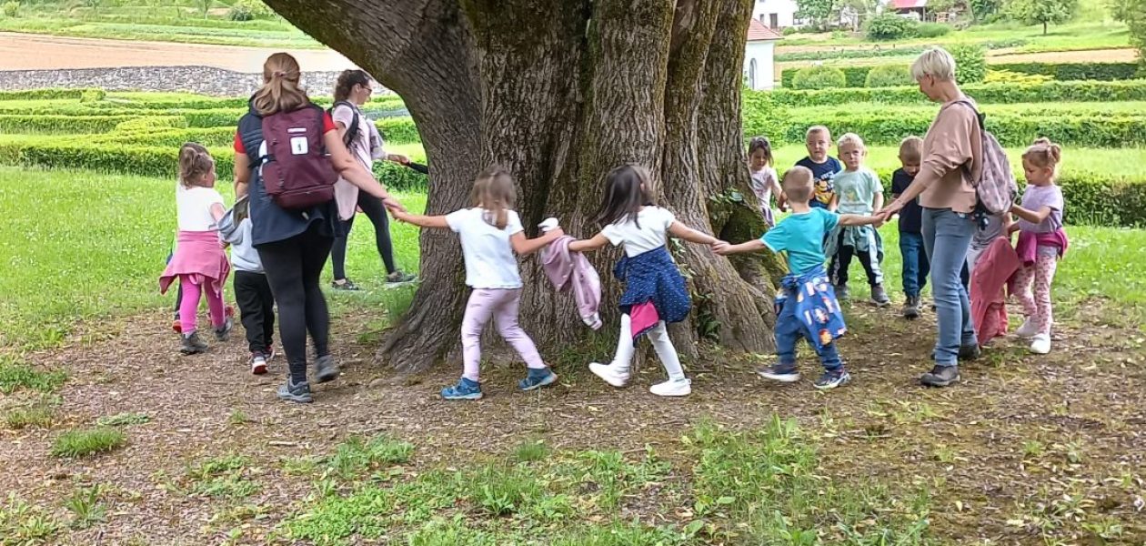 Dežela polha Rogovileža