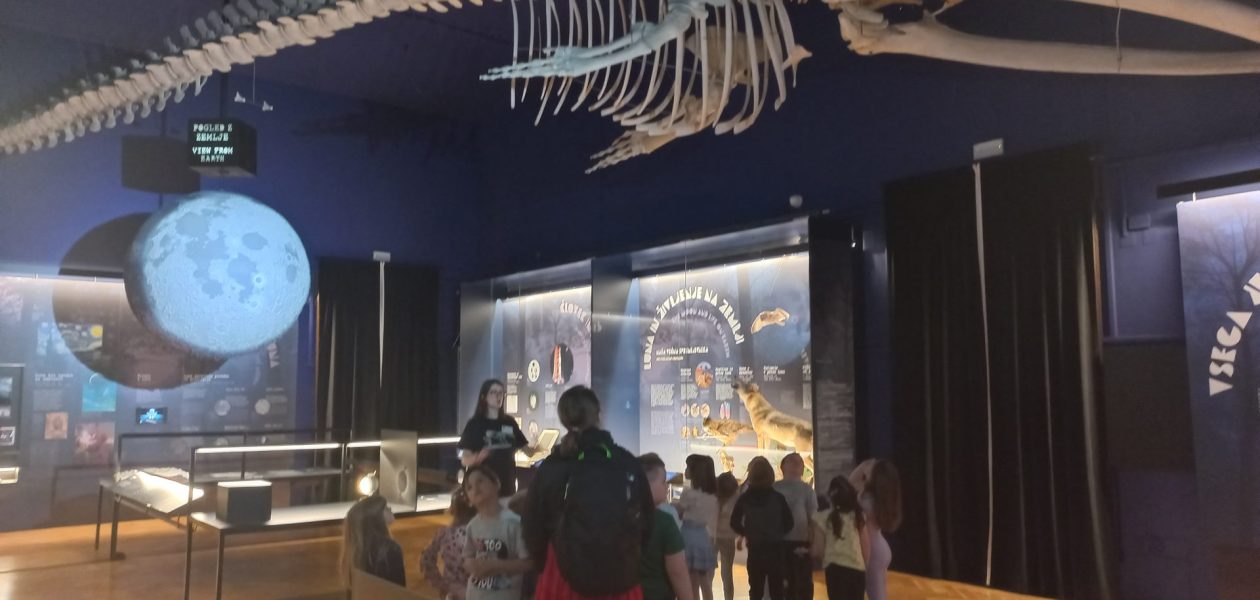 Ogled  Prirodoslovnega muzeja