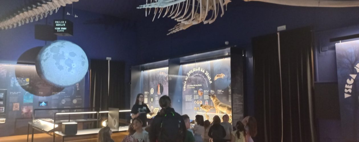 Ogled  Prirodoslovnega muzeja