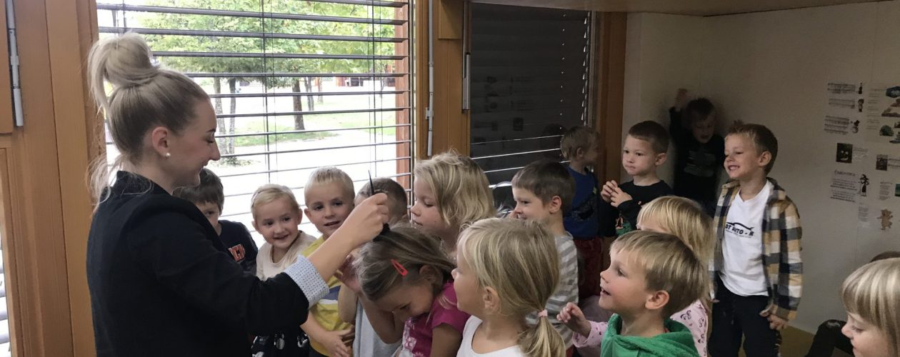 Frizerski salon »Pri Medvedkih«