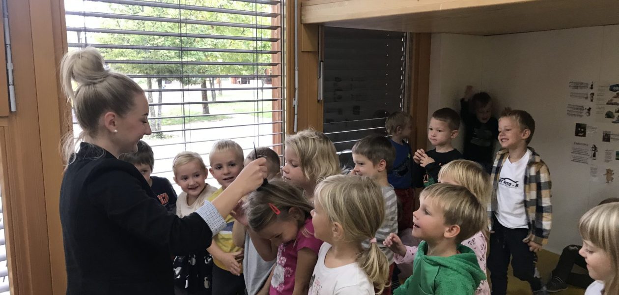 Frizerski salon »Pri Medvedkih«