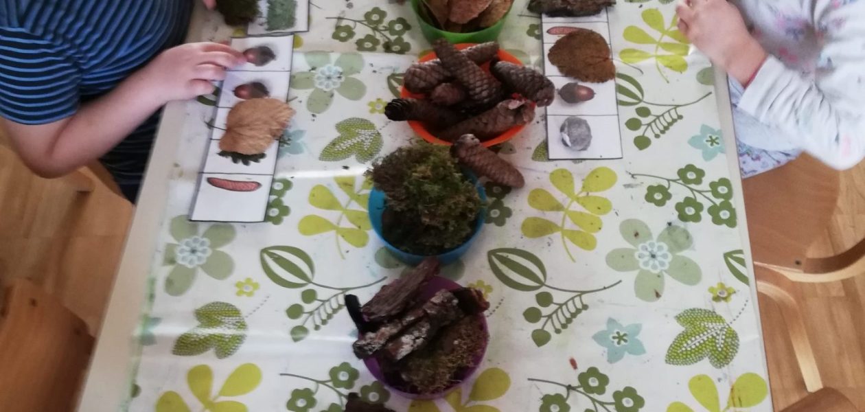 Gozd v zimskem času malo drugače