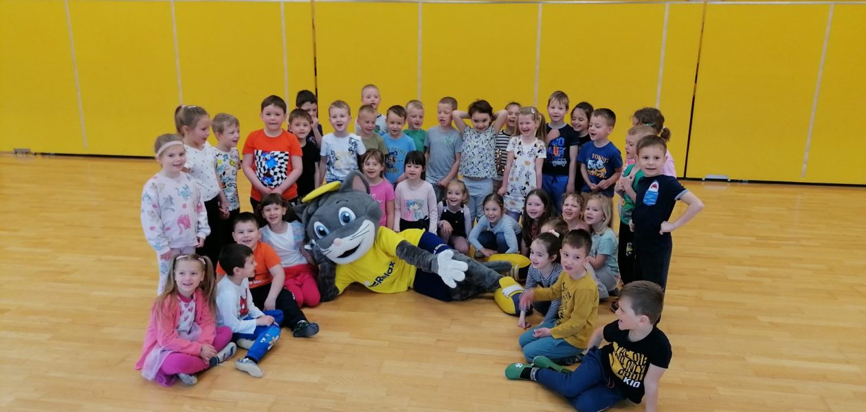 Zabava z mačkom Reksijem