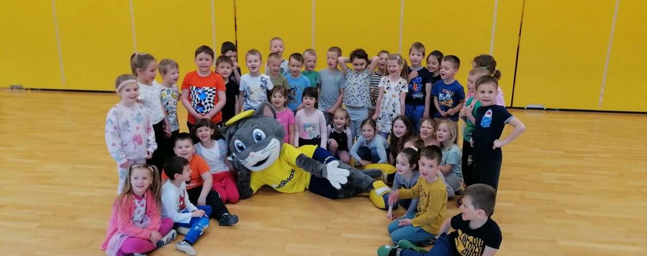 Zabava z mačkom Reksijem