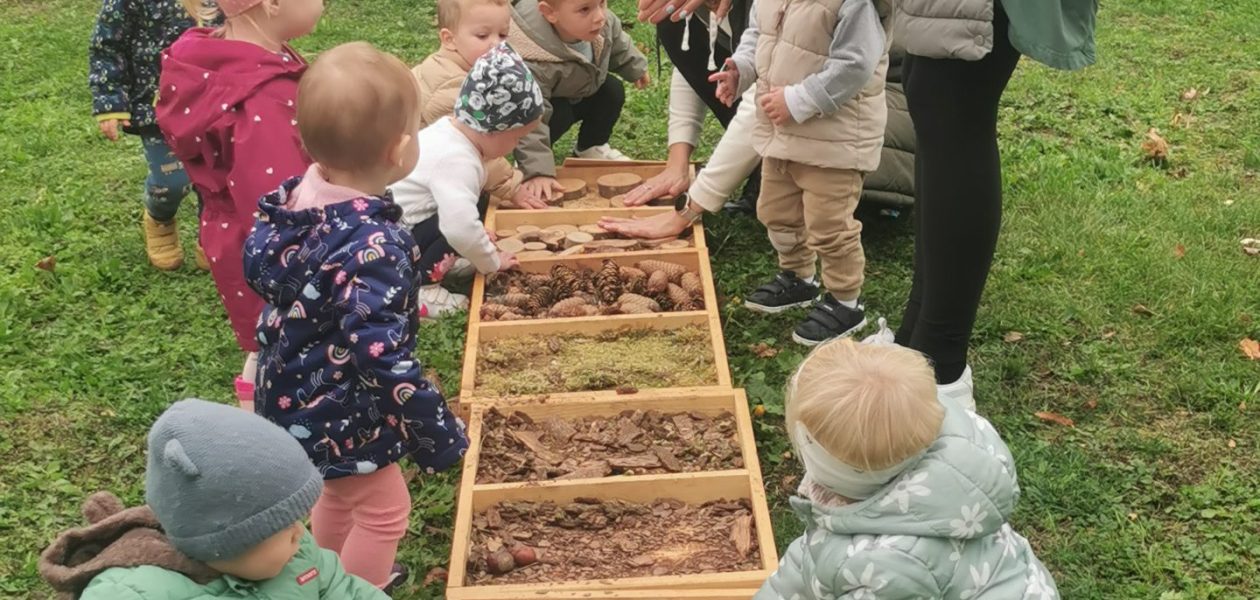 Naravoslovni dan v vrtcu