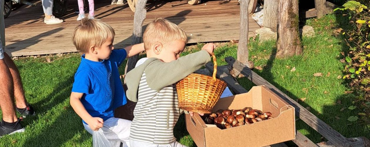 POLŽKI NA KOSTANJEVEM PIKNIKU