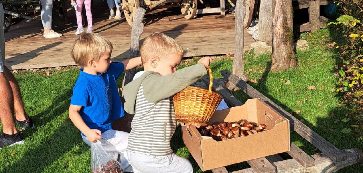 POLŽKI NA KOSTANJEVEM PIKNIKU