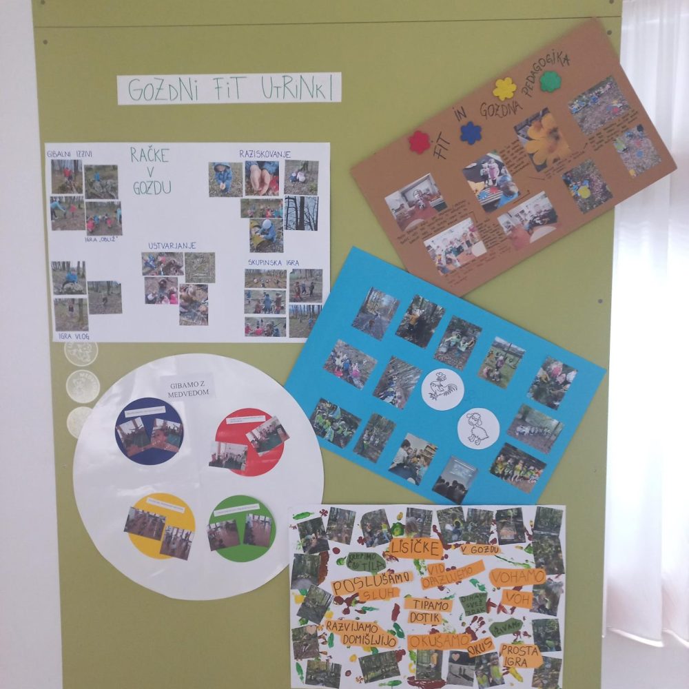 Gozdni fit v Vrtcu Ribnica