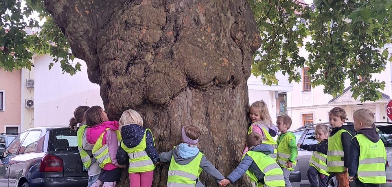 Evropski teden mobilnosti