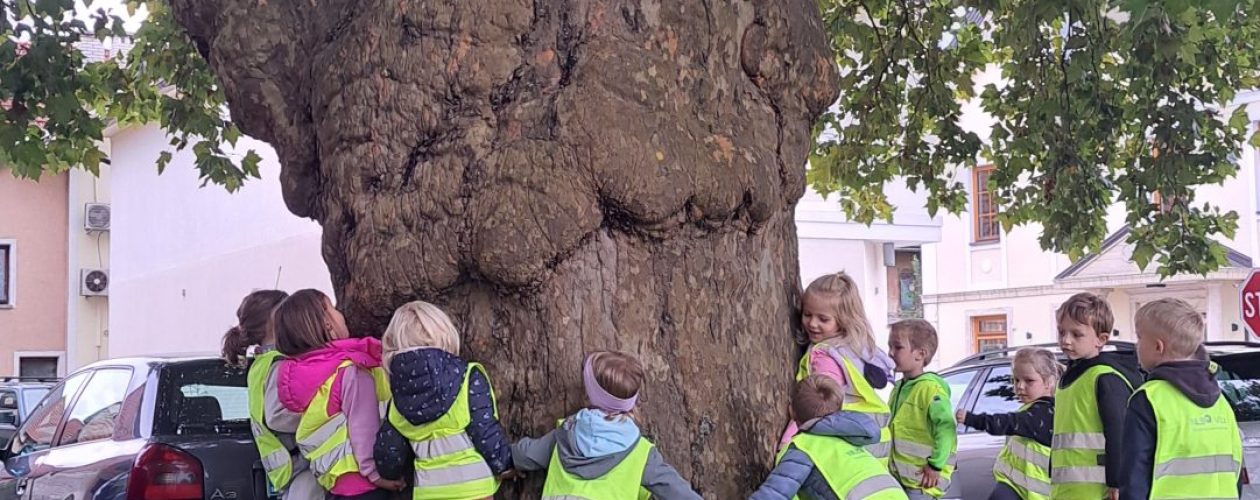 Evropski teden mobilnosti