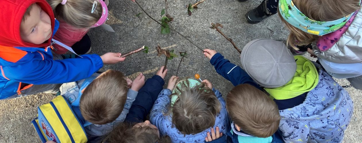 Orientacijski pohod do Francetove jame