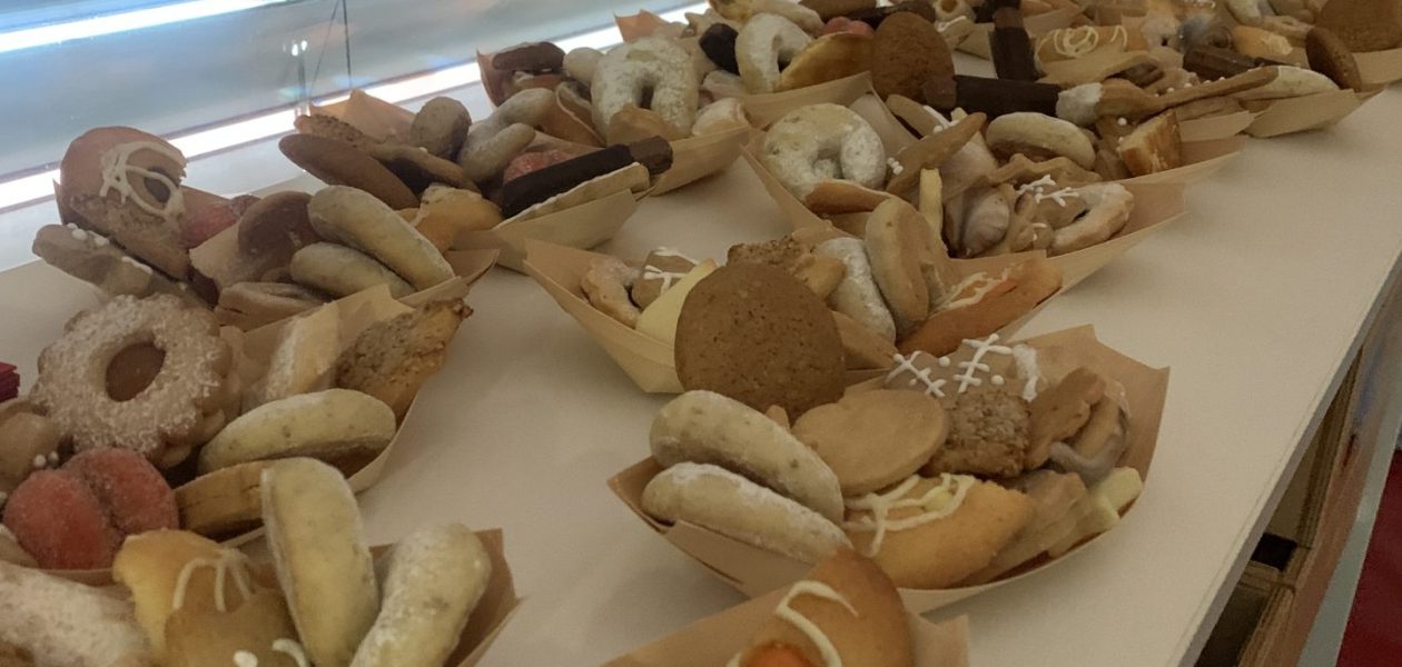 Praznična čajanka pri želvah