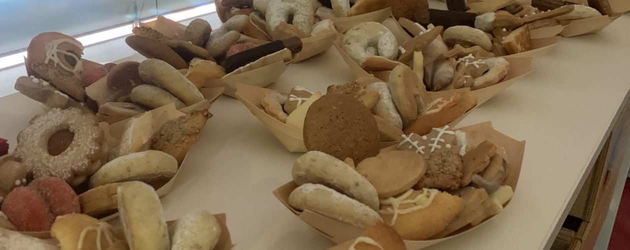 Praznična čajanka pri želvah