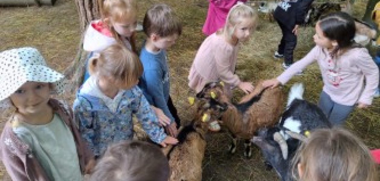 Bobrčki in Ribice na izletu na Ranču Aladin