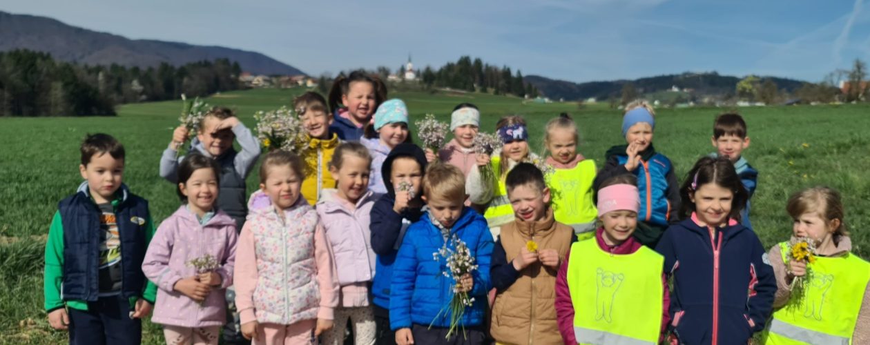 Veveričke se potepajo