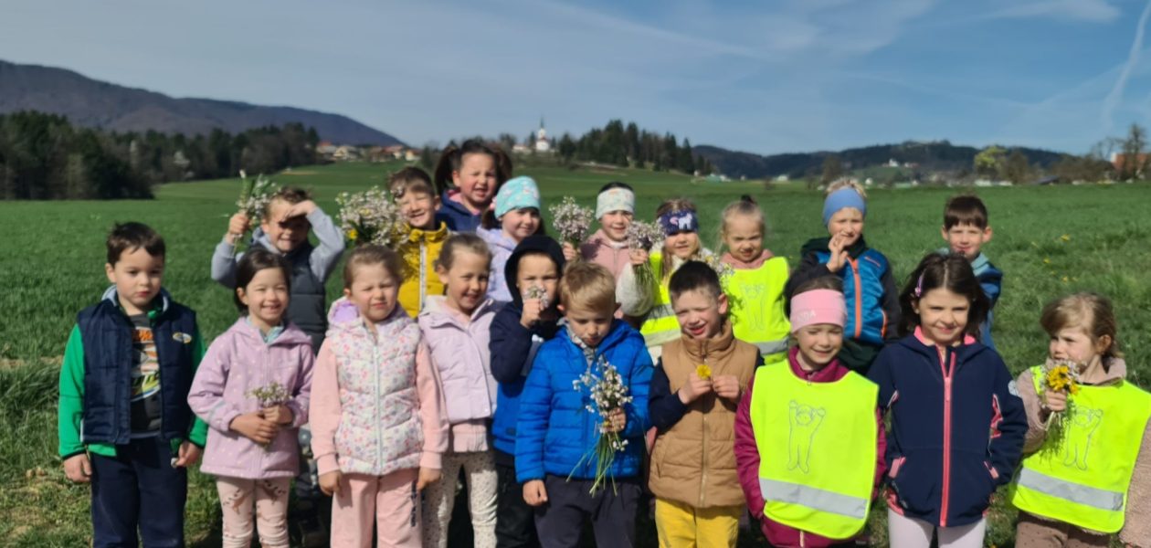 Veveričke se potepajo