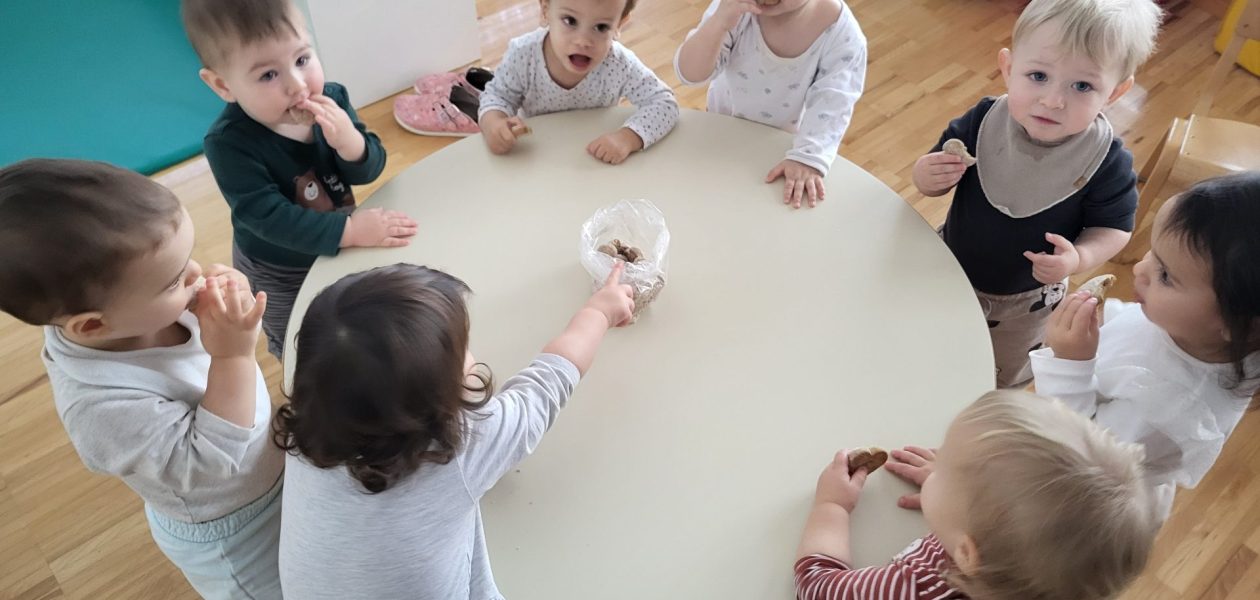 Vidim, slišim, vonjam, okušam, čutim december