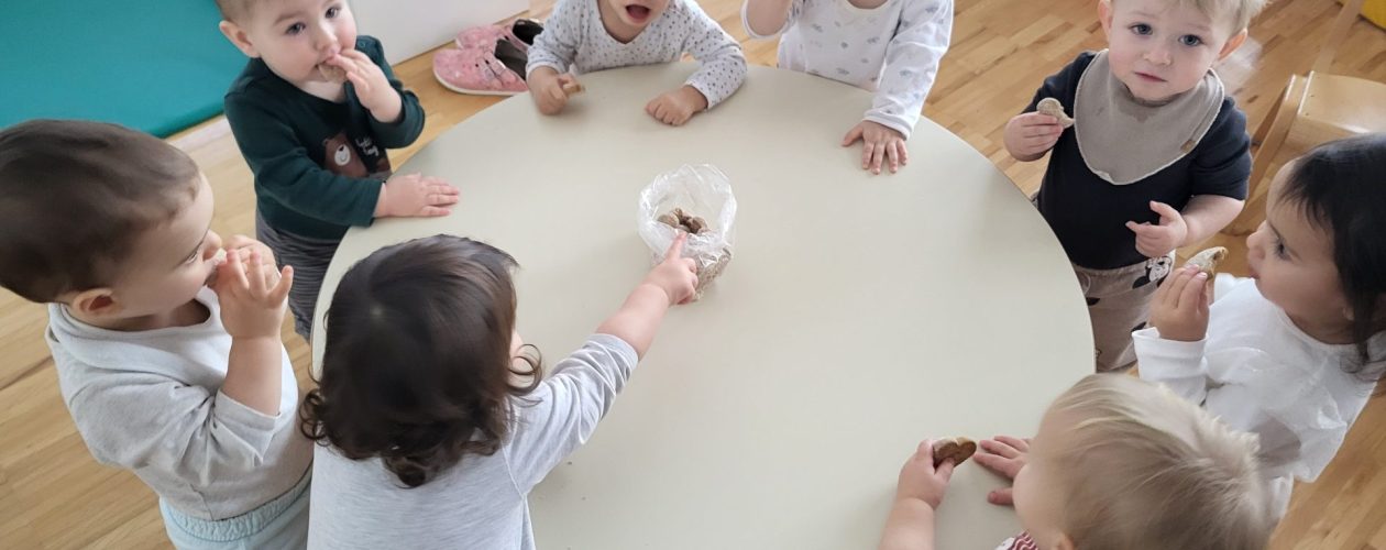 Vidim, slišim, vonjam, okušam, čutim december