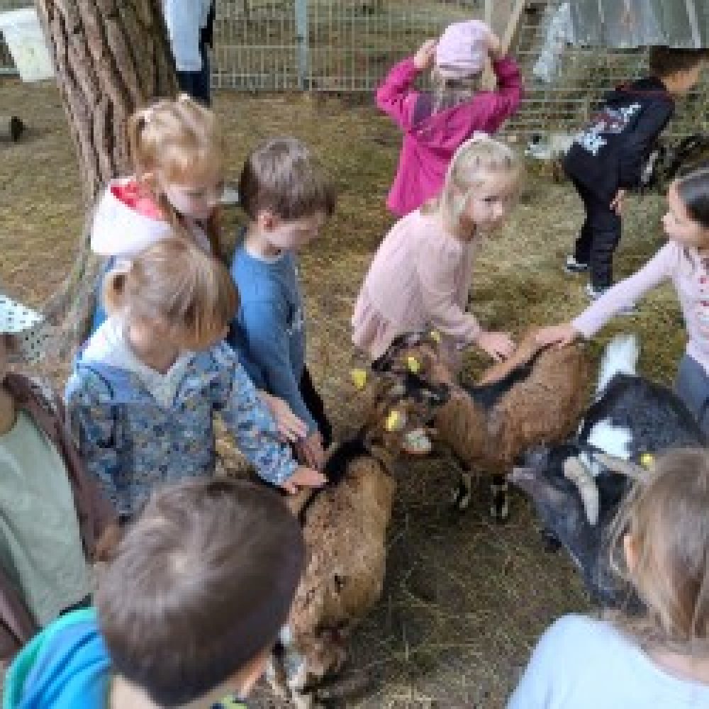 Bobrčki in Ribice na izletu na Ranču Aladin
